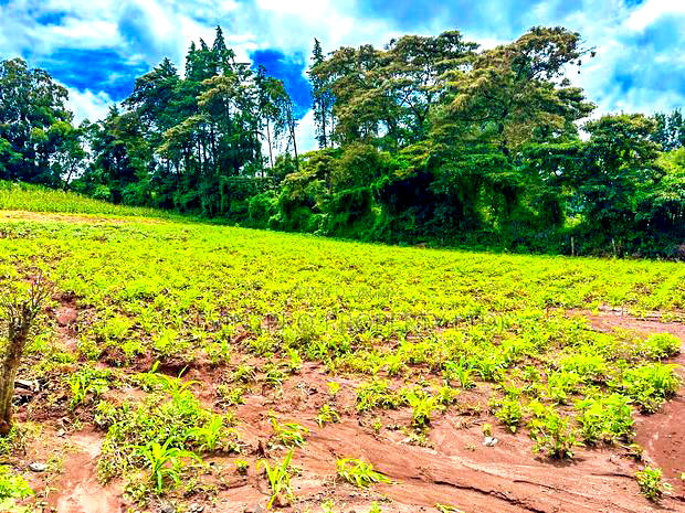 Residential Plots for Sale in Kikuyu, Gikambura (Rio - Breez