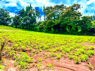 Residential Plots for Sale in Kikuyu, Gikambura (Rio - Breez - Image 4