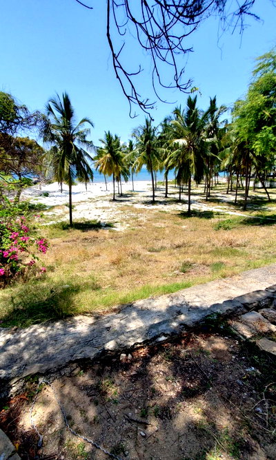 3-Acre Beach Plot for KSh 170M