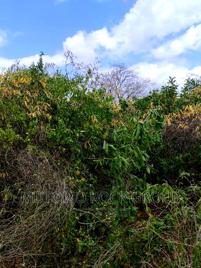 130acres for Sale With Title Deed - Image 1