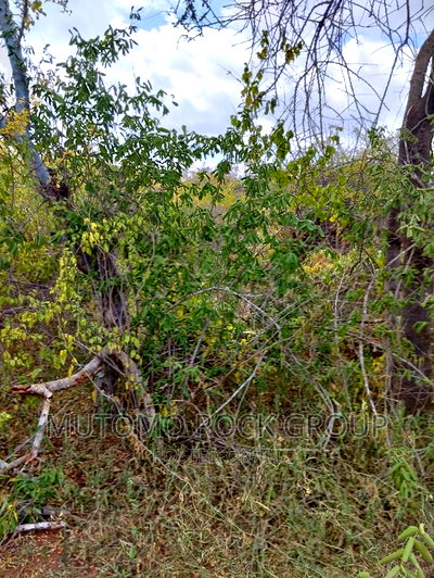 130acres for Sale With Title Deed - Image 4