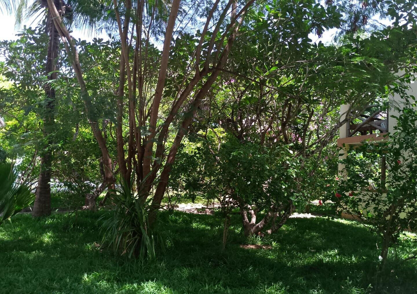 4BR Garden Home with Parking for KSh 45K