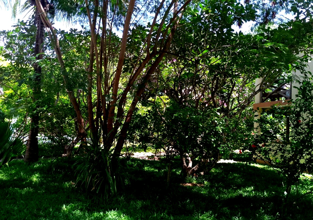 4BR Garden Home with Parking for KSh 45K
