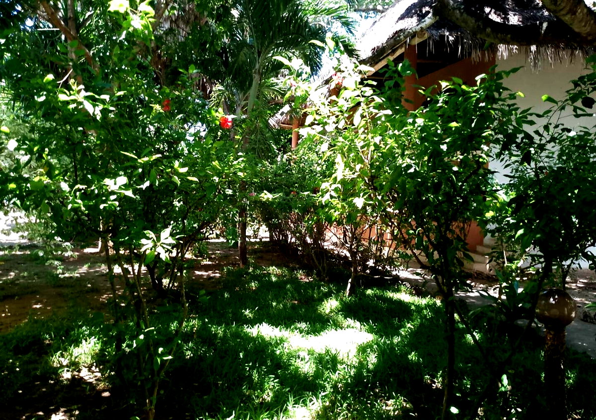 4BR Garden Home with Parking for KSh 45K
