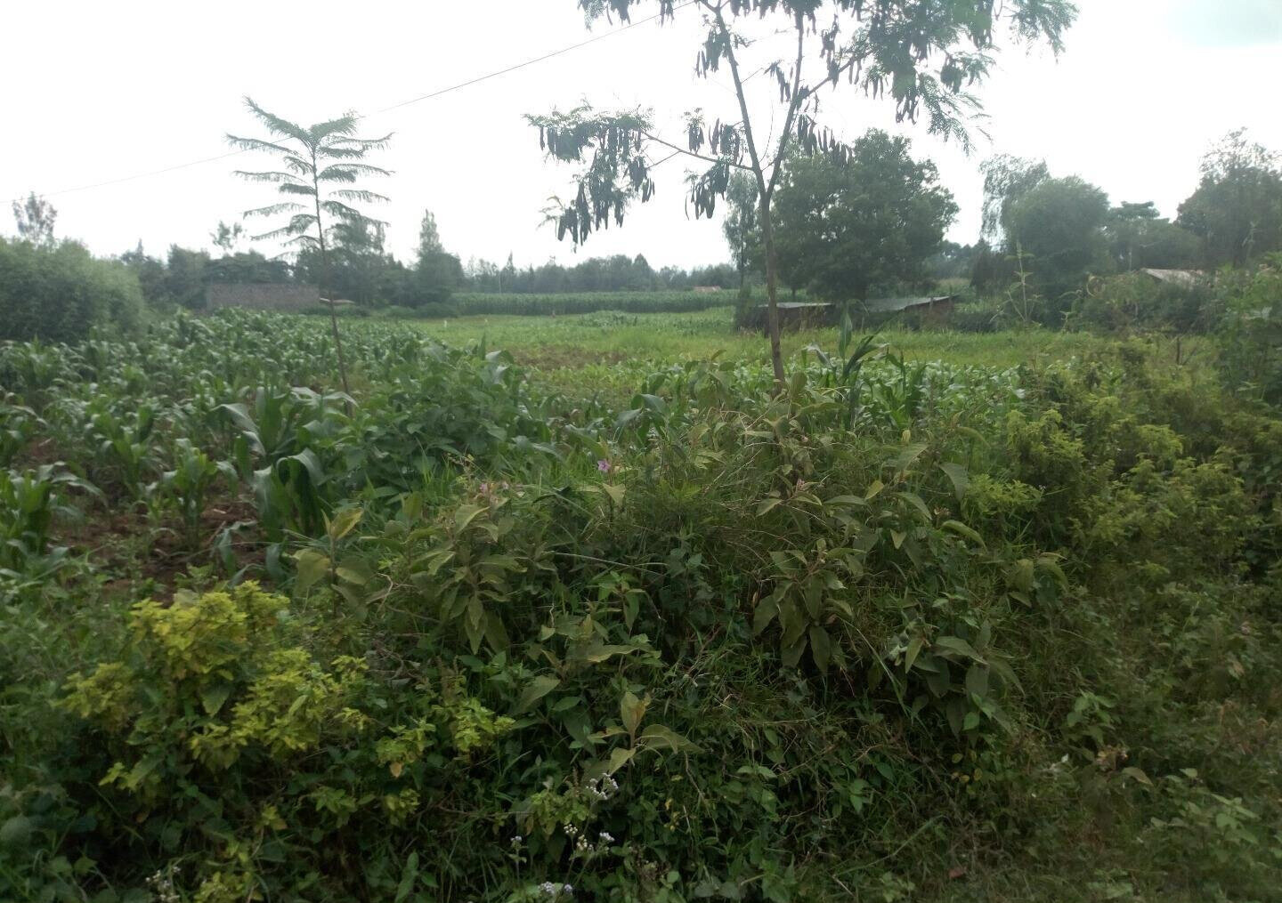 1-Acre Plot for KSh 4.6M in Lanet