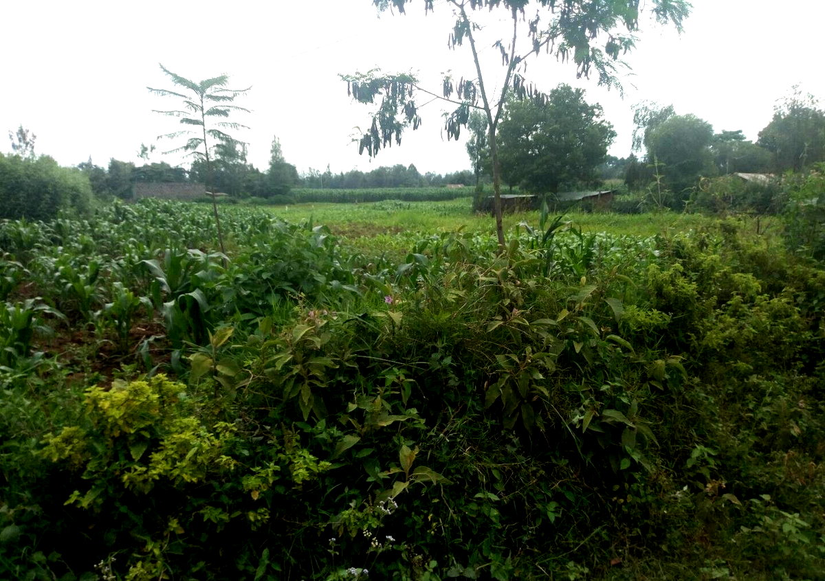1-Acre Plot for KSh 4.6M in Lanet