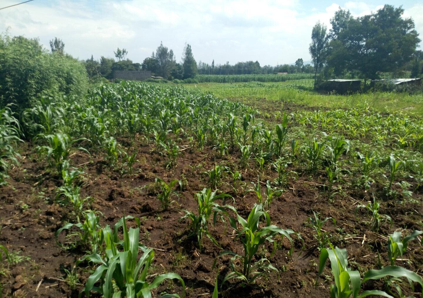 1-Acre Plot for KSh 4.6M in Lanet