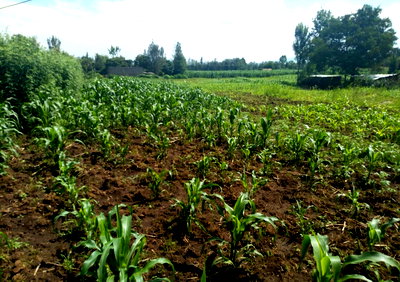 1-Acre Plot for KSh 4.6M in Lanet