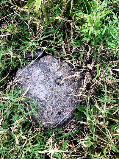 1/8 Acre Plots 8 Pieces - Image 4