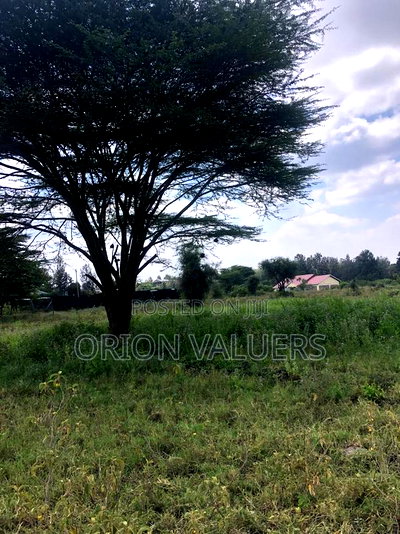 1/8 Acre Plots 8 Pieces - Image 1