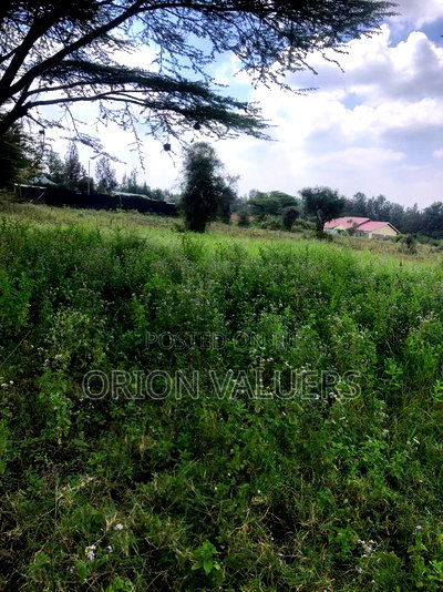 1/8 Acre Plots 8 Pieces - Image 2