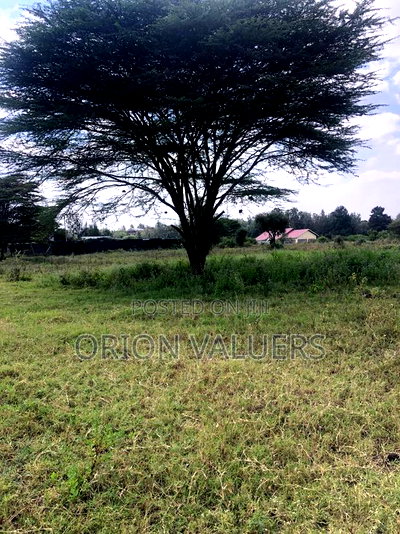 1/8 Acre Plots 8 Pieces - Image 3