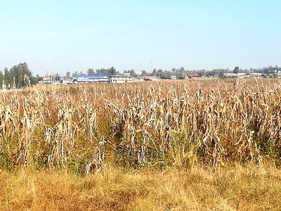 An Eighth 500 Metres From Tarmac at Methodist Lanet - Image 6