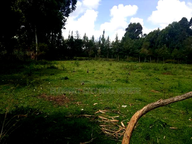 1/4 Plot Annex Pazuri With Title