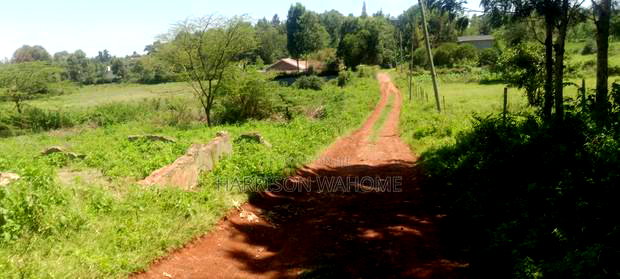 3 Parcels of 50*100 Plots for Sale in Ngong.