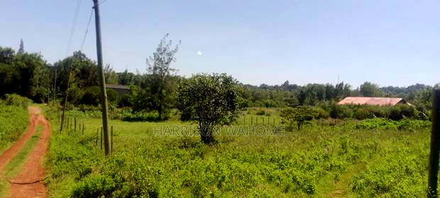 3 Parcels of 50*100 Plots for Sale in Ngong.