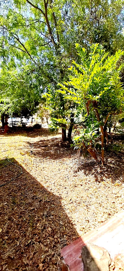 For Sale One Acre Land Nyali - Image 4