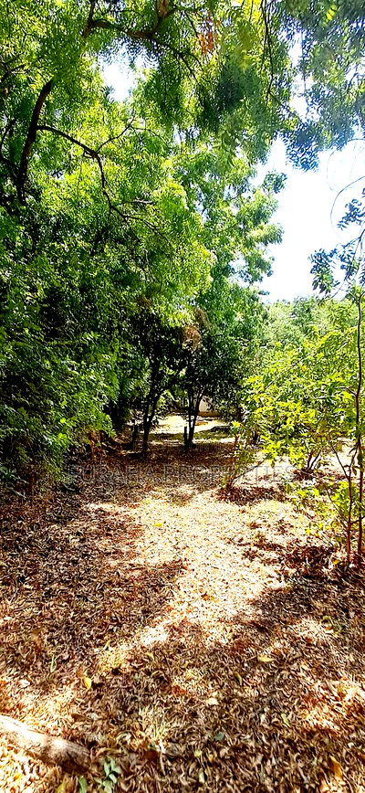 For Sale One Acre Land Nyali - Image 6