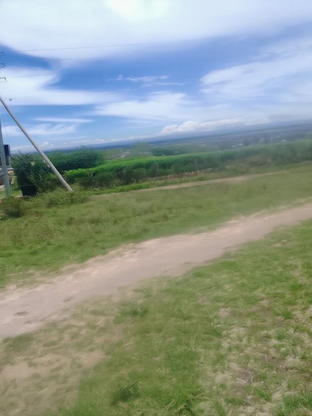 50x100 Plots for Sale in Malaa