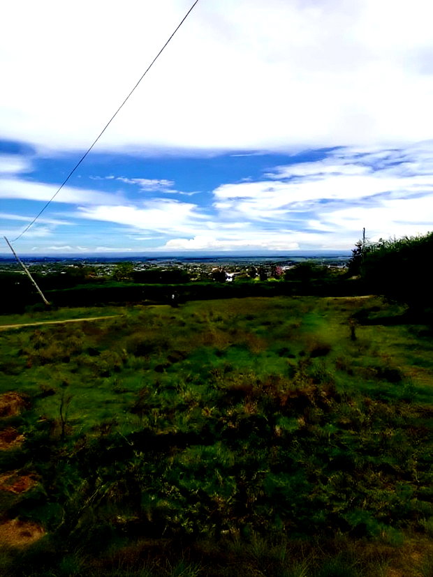 50x100 Plots for Sale in Malaa