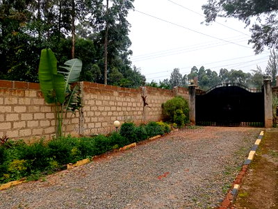 4bdrm Bungalow in Lubao-Kakamega, Sheywe for rent - Image 10