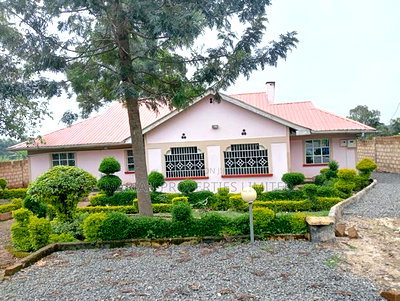 4bdrm Bungalow in Lubao-Kakamega, Sheywe for rent - Image 17