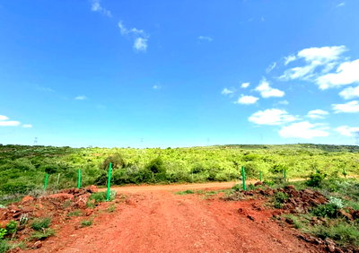 Pet Friendly 50x100 Plot for KSh 1.2M