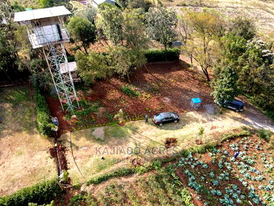 Scenic Prime 1/8 Kibiko(Lemiso) at 3.5m - Image 6