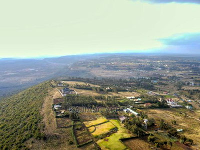 Scenic Prime 1/8 Kibiko(Lemiso) at 3.5m - Image 8