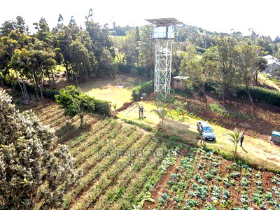 Scenic Prime 1/8 Kibiko(Lemiso) at 3.5m - Image 3