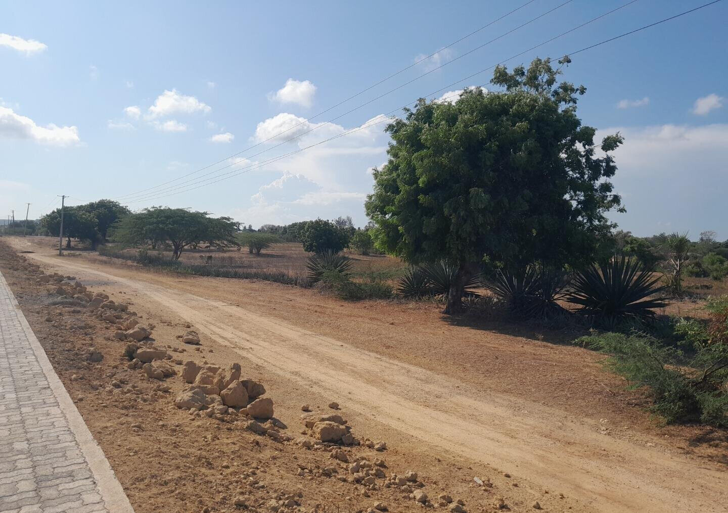Quarter Acre Plot in Vipingo for KSh 4M