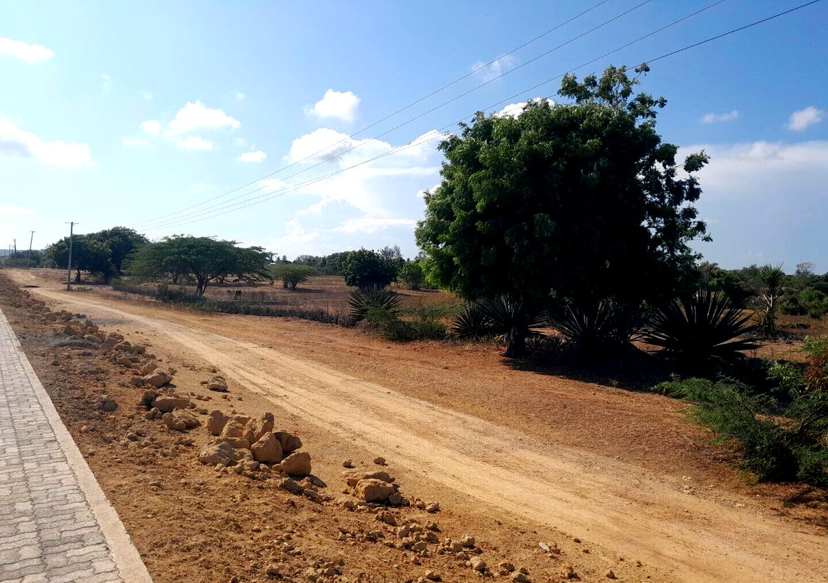 Quarter Acre Plot in Vipingo for KSh 4M