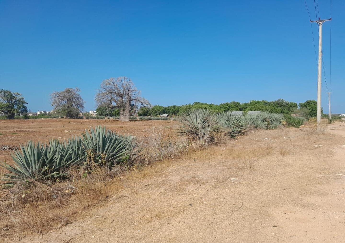 Quarter Acre Plot in Vipingo for KSh 4M