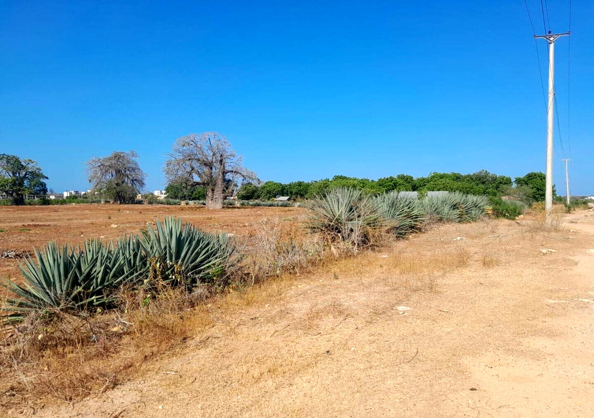 Quarter Acre Plot in Vipingo for KSh 4M