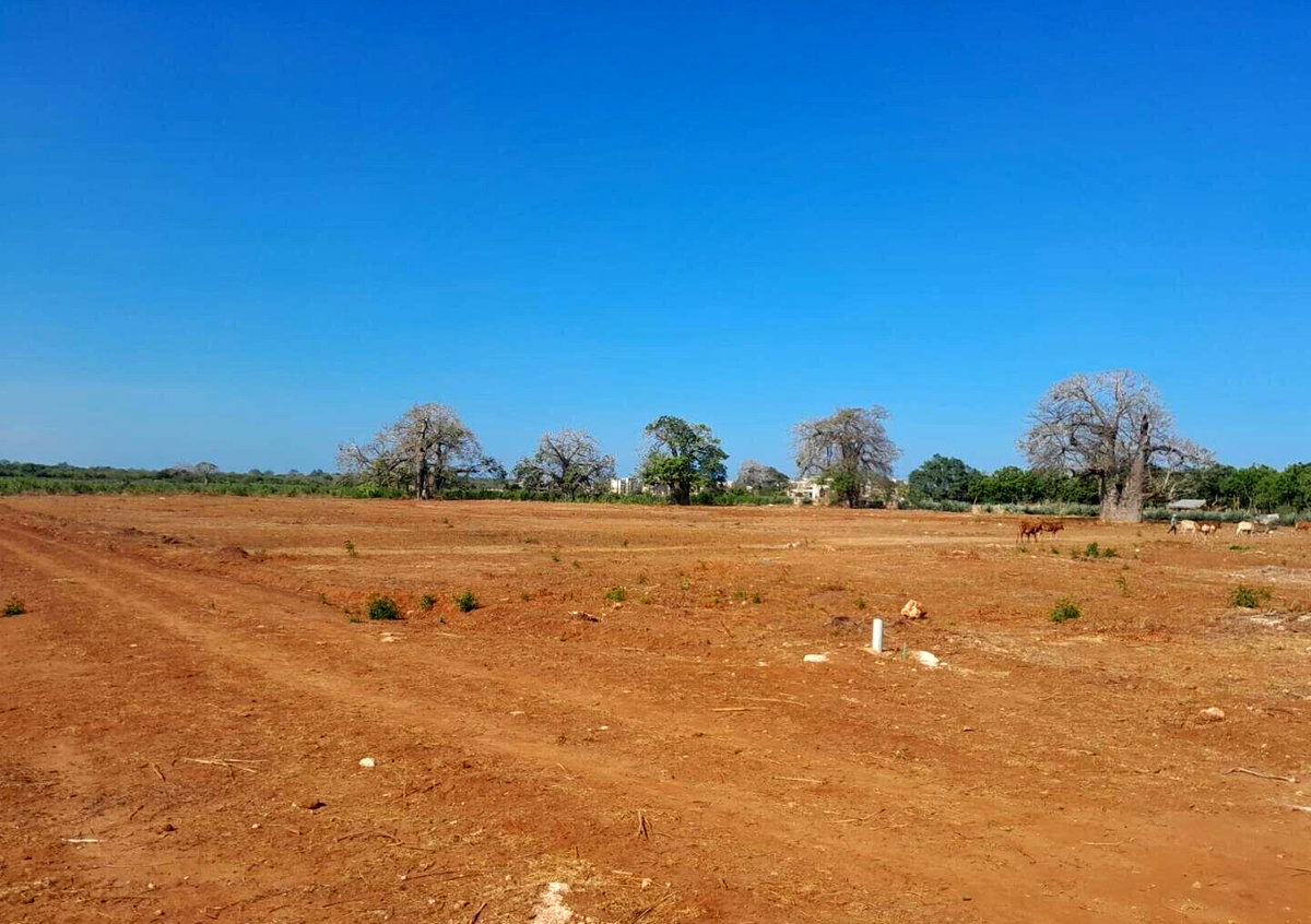 Quarter Acre Plot in Vipingo for KSh 4M