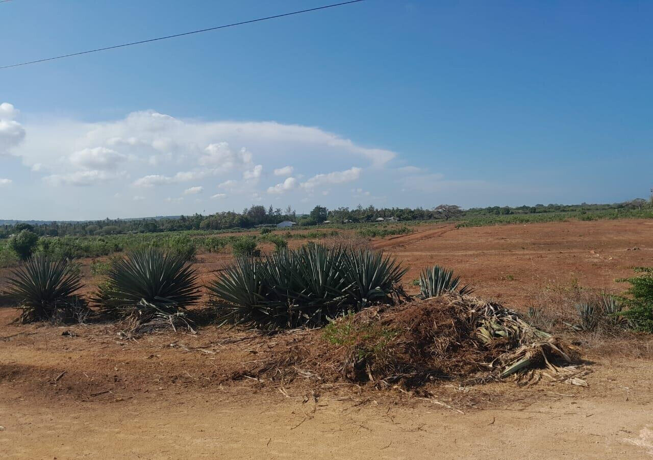 Quarter Acre Plot in Vipingo for KSh 4M