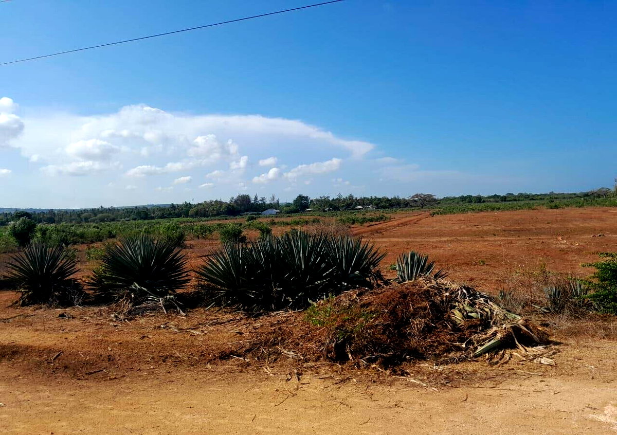 Quarter Acre Plot in Vipingo for KSh 4M