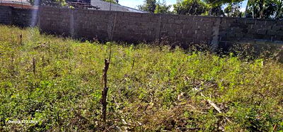 1/4 Plot For Sale In Blossom Elgonview Eldoret - Image 3