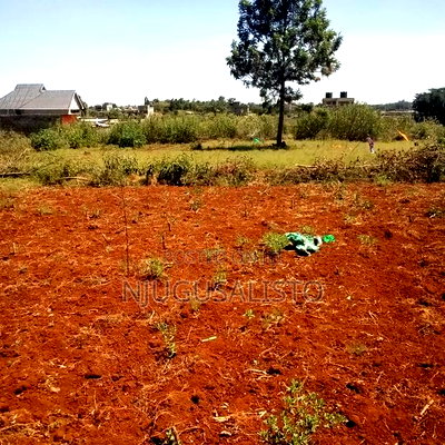 Plot Available for Sale at Twiga Estate 40*80 - Image 2