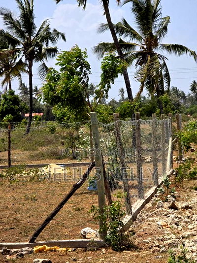 Plots Touching Mombasa Malindi Highway Kilifi Mtondia - Image 5