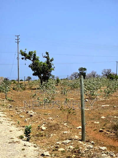 Plots Touching Mombasa Malindi Highway Kilifi Mtondia - Image 4