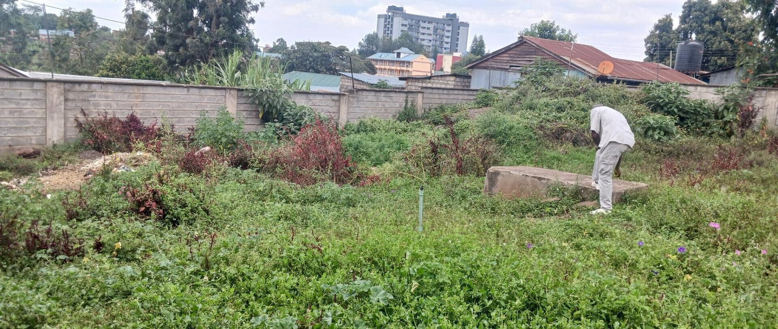 KSh 25M Plot with Borehole - Rungiri