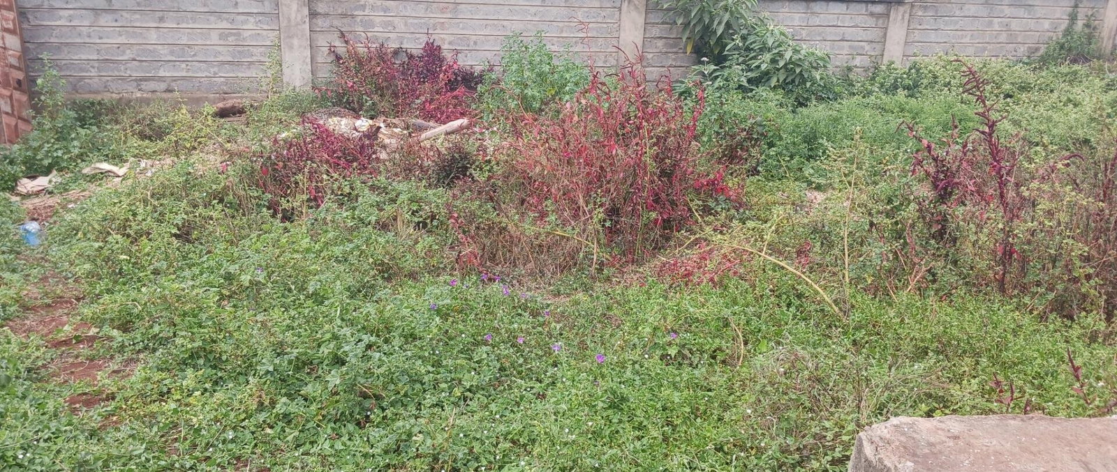 KSh 25M Plot with Borehole - Rungiri