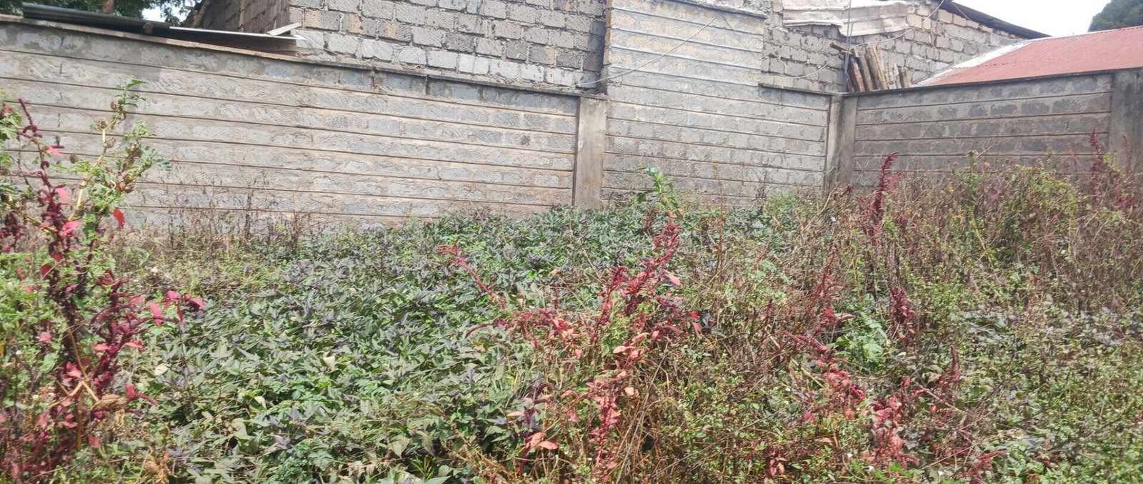 KSh 25M Plot with Borehole - Rungiri
