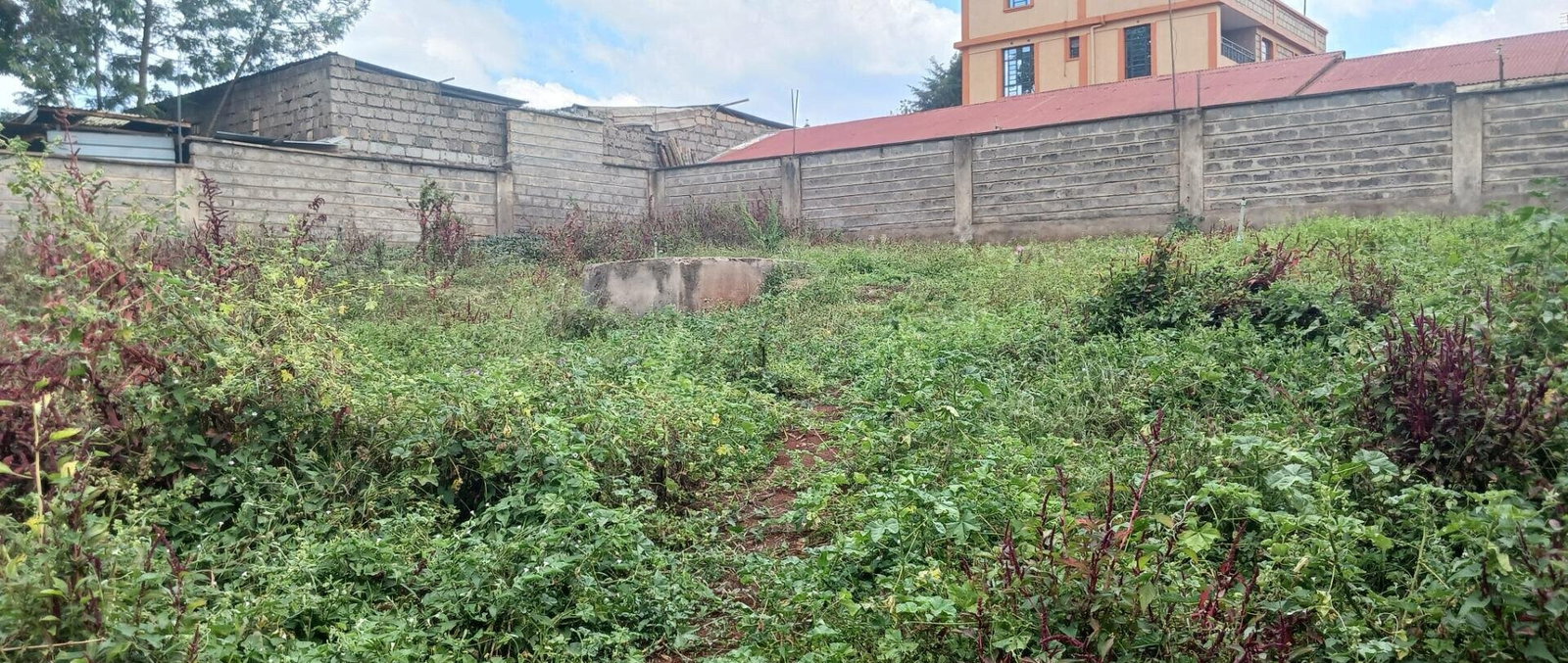 KSh 25M Plot with Borehole - Rungiri