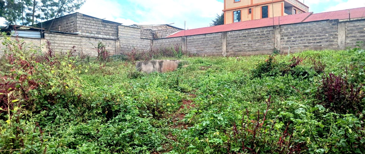 KSh 25M Plot with Borehole - Rungiri