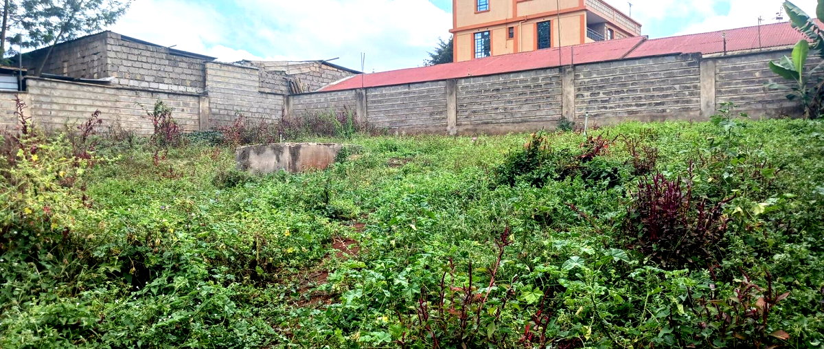 KSh 25M Plot with Borehole - Rungiri