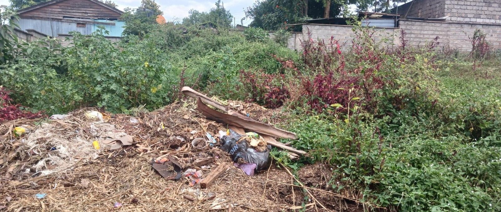 KSh 25M Plot with Borehole - Rungiri