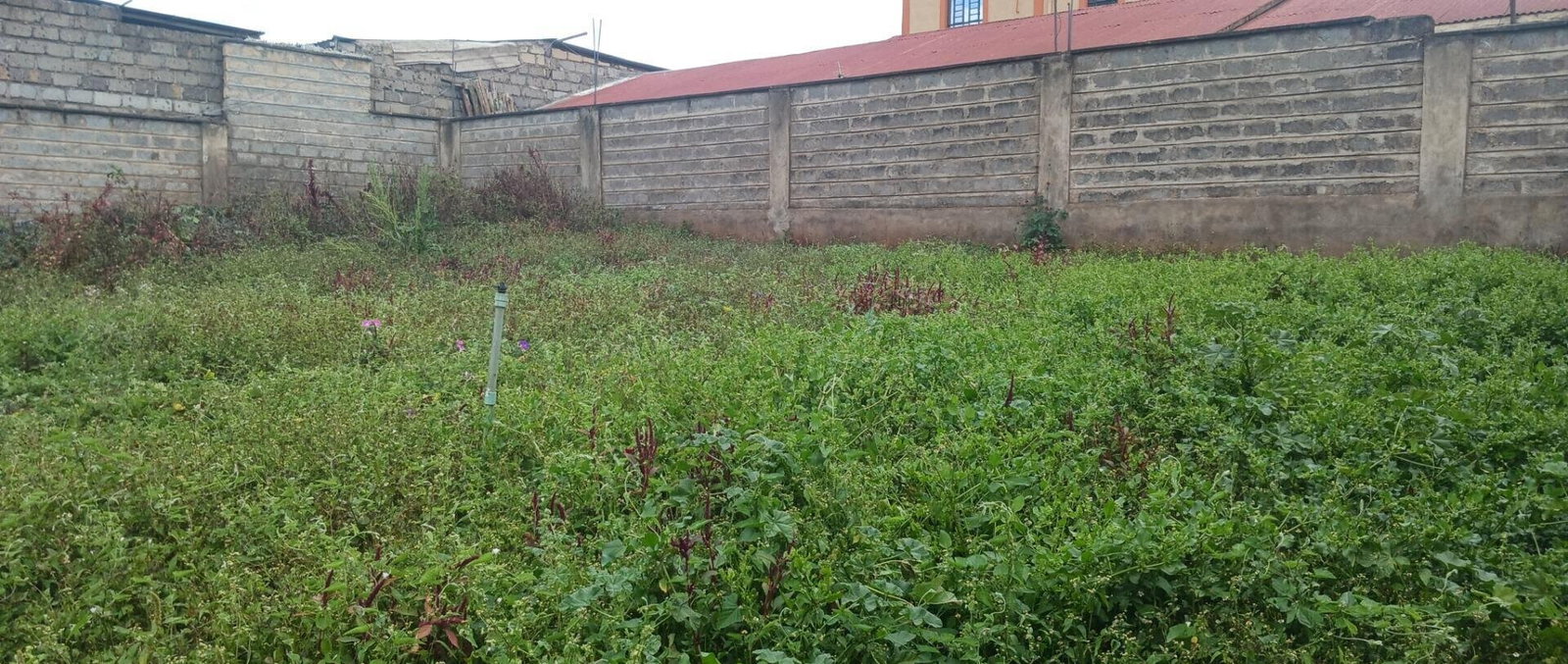 KSh 25M Plot with Borehole - Rungiri