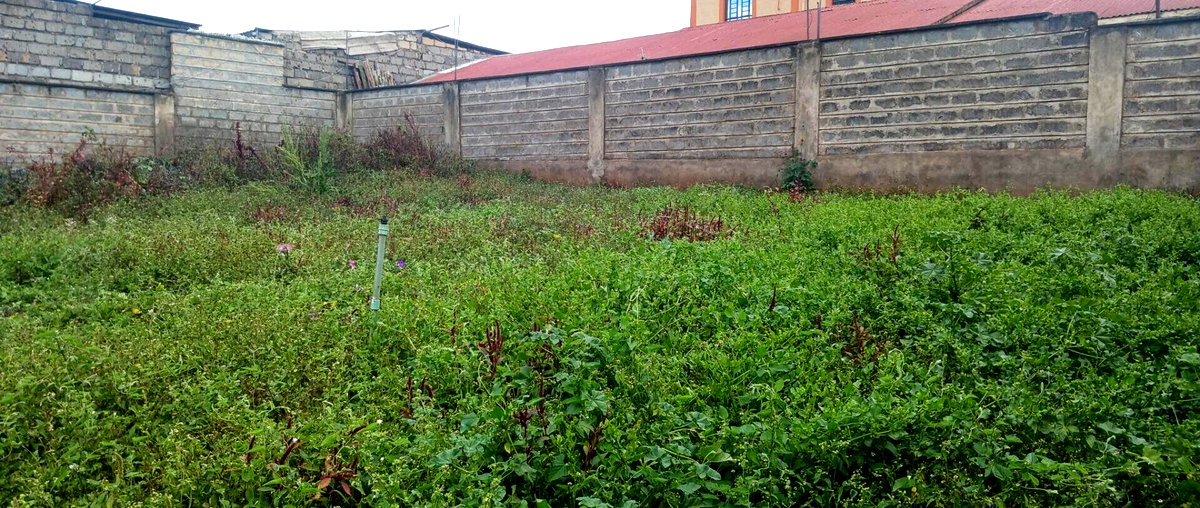KSh 25M Plot with Borehole - Rungiri